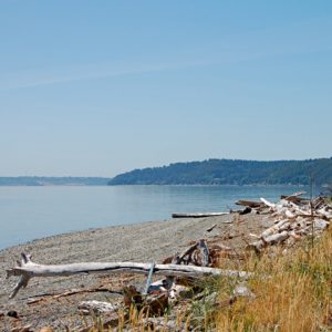 Maury Island Regional Park Vashon Island