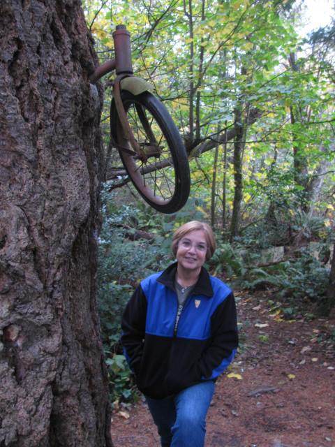 Bike in the tree on Vashon Island Washington