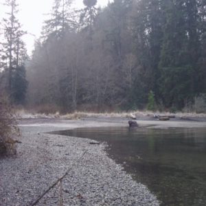 Fern Cove Park on Vashon Island Washington