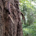 Vashon Island Bike in the Tree