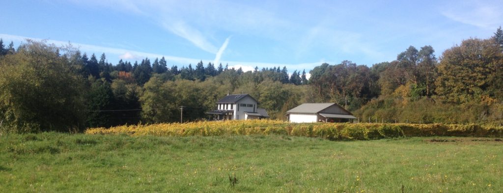 Alli Lanphear Vineyard & Winery - Vashon Island