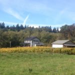 Alli Lanphear Vineyard & Winery - Vashon Island