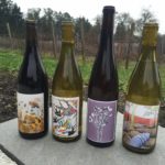 Alli Lanphear Vineyard & Winery - Vashon Island