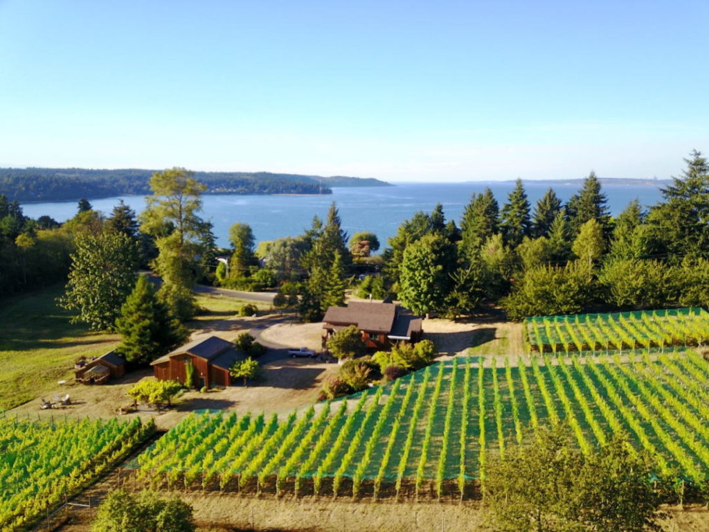 Maury Island Winery on Vashon Island WA