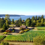 Maury Island Winery on Vashon Island WA