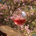 Maury Island Winery glass of wine - Vashon Island WA