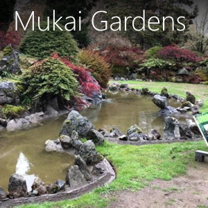 Learn about Mukai Farms and Garden on Vashon Island Washington. Japanese gardens and heritage.