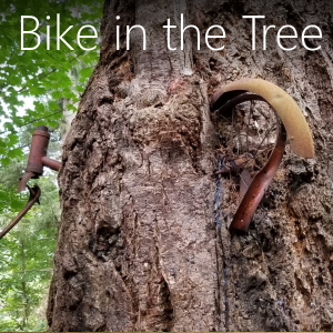 The bike in the tree on Vashon Island Washington where to find it and other information.