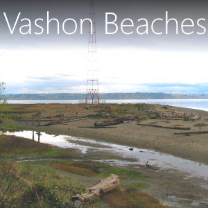 Great information on exploring the beaches of Vashon Island