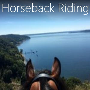 Horseback riding on Vashon Island Washington. Where to ride, where not to ride on Vashon.