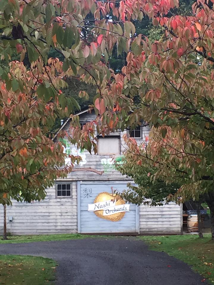 Nashi Orchards Vashon Island - Barn