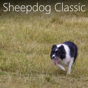 Vashon Sheepdog Classic on Vashon Island Washington - All the details