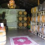 vashon-winery-vashon-island-washington