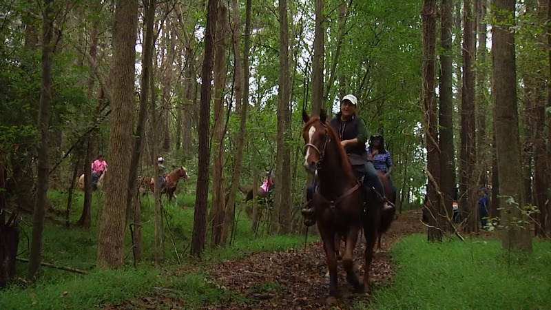 Horseback trail rides on Vashon Island Washington.