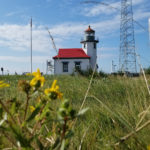 Point Robinson Lighthouse on Vashon Island - flowers