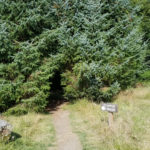 Point Robinson Lighthouse on Vashon Island - hidden path