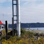 Point Robinson Lighthouse on Vashon Island - people hanging on the beach