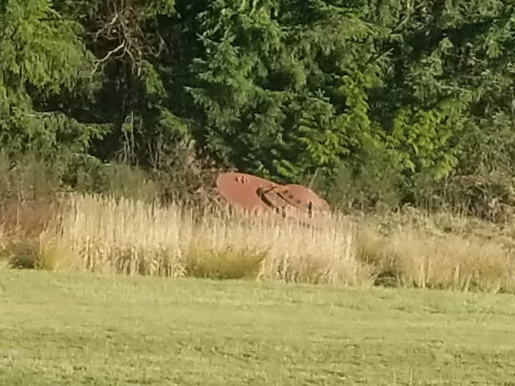 vashon island crashed UFO