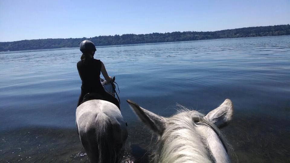 Vashon Westside Stables Horseback Riding