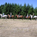 Westside Stables Vashon Island horseback riding