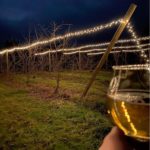 Dragon's Head Cider - Vashon Island - Orchard - Cider Glass