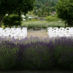 Vashon Island Wedding Venue Lavender Hill Farm - ceremony area