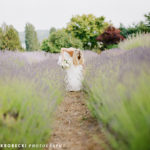 Vashon Island Wedding Venue Lavender Hill Farm - bride in field