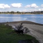 Vashon Island beach - Jensen Point