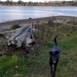 Vashon Island beach - Jensen Point