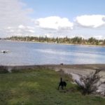 Vashon Island beach - Jensen Point