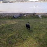 Vashon Island beach - Jensen Point