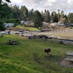 Vashon Island beach - Jensen Point