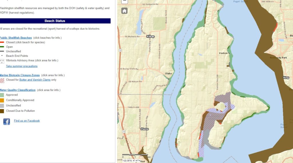 beachcombing and shellfishing - Vashon Island Washington